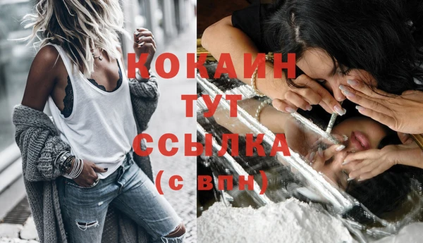 винт Переславль-Залесский